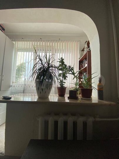 1-к. квартира, 30,1 м², 2/5 эт.