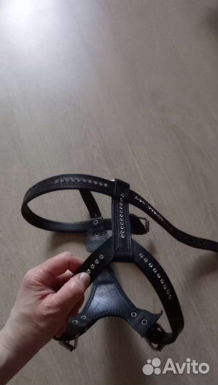 Шлейка для собаки