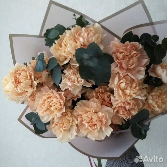 Гвоздики цветы