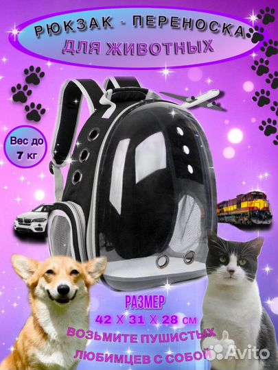 Рюкзак переноска для кошек