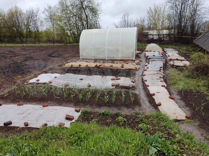 Дом 50,7 м² на участке 34 сот.