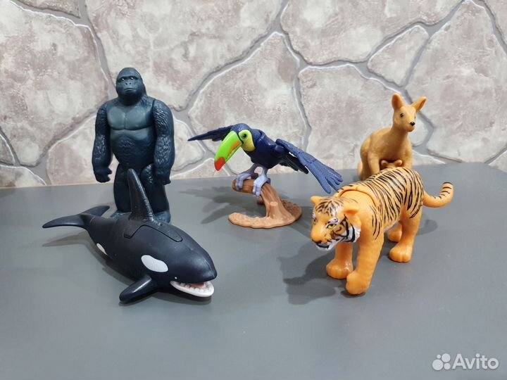 Kinder maxi natoons 2022