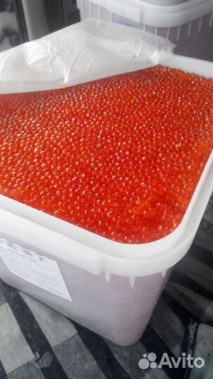 Икра лососевая