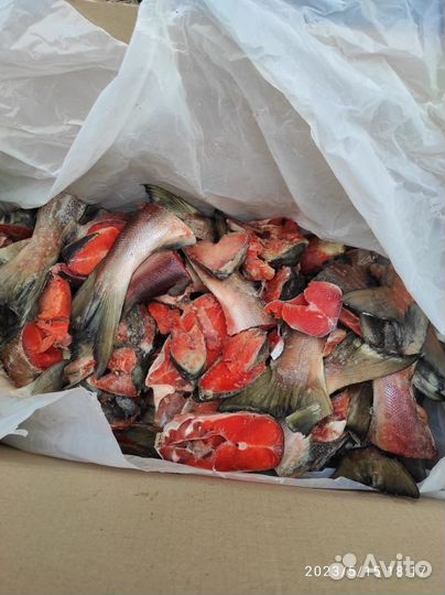 Суповой набор из красной свежей рыбы в коробках