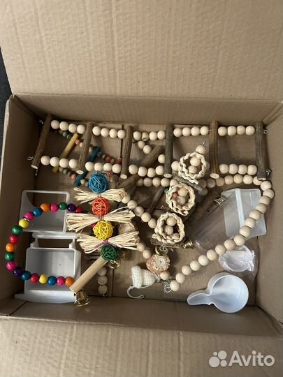 Волнистый попугай