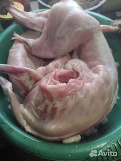 Мясо кролика