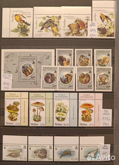 Почтовые марки на тему флора и фауна чистые