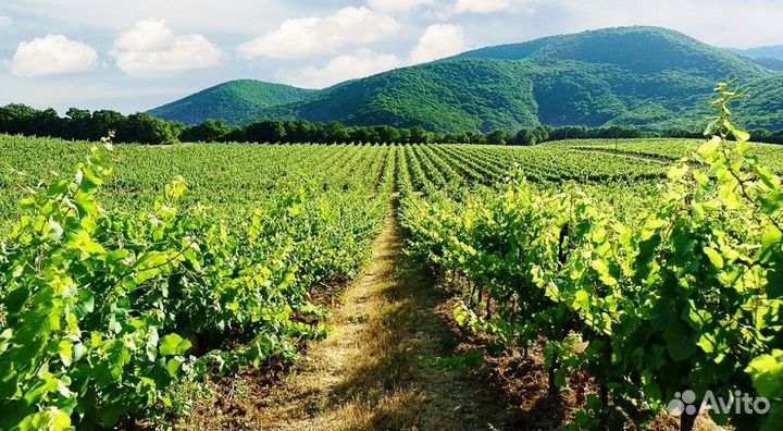 Работа вахтой с проживанием