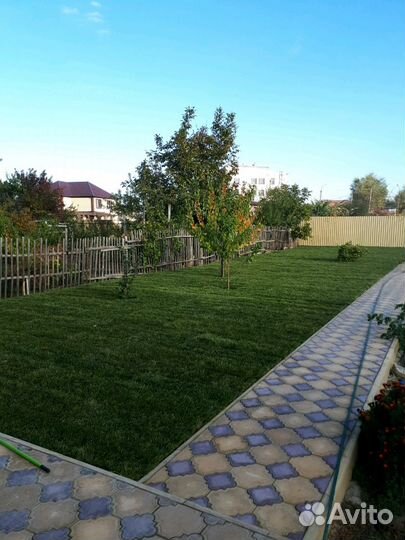 Рулонный газон