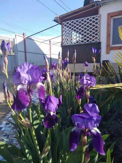 Дом 40 м² на участке 7 сот.