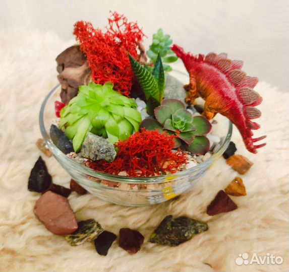 Флорариум, суккуленты, подарок, детский мир