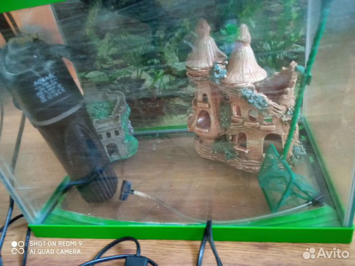 Аквариум