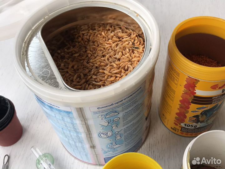 Корм и принадлежности для аквариума