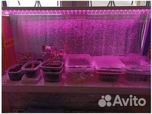 Светильник для растений