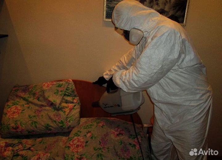 Уничтожение грызунов, насекомых, плесени, запахов