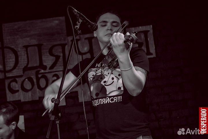 Скрипка на праздник