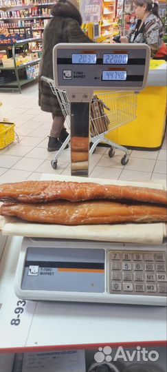 Рыбка из Волгограда