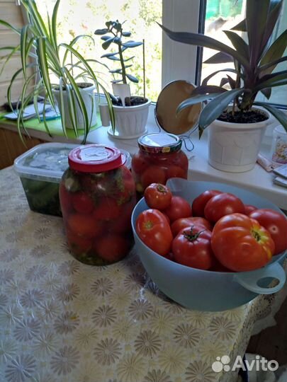 Огурцы помидоры