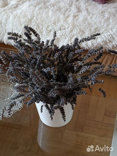 Сухоцветы Лаванды натуральные