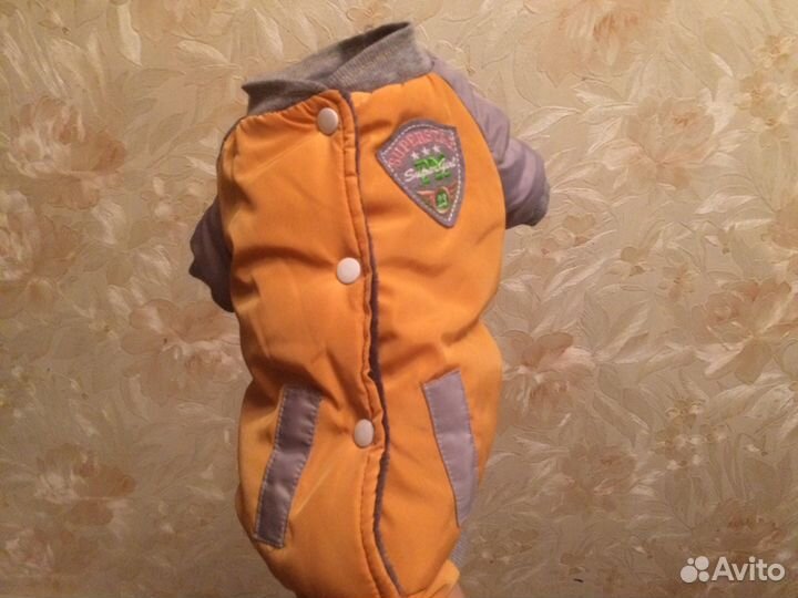 Кофточка д.собачки на меху.покупали з х месячному