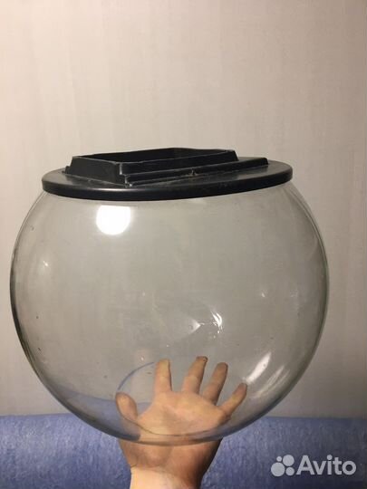 Аквариум 10 литров