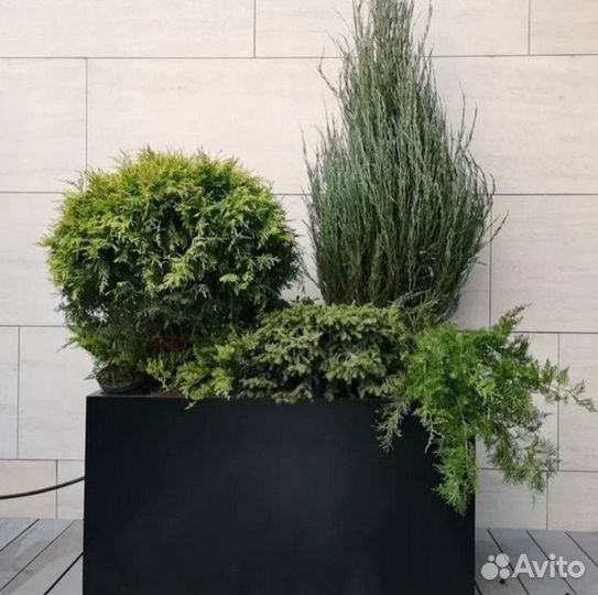 Кашпо напольное прямоугольное