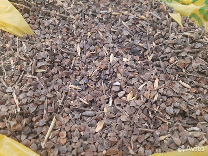 Выкуп не ликвидной гречихи