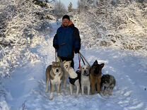 Можно ли построить реальную жизнь по теории. Пирамида маслоу потребности человека 5 уровней. Теория базарова и раскольникова. Абрахам маслоу мотивация пирамида. Пирамида абрахама маслоу 5 ступеней.