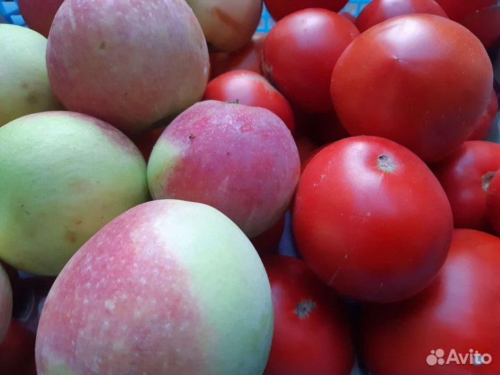 Домашние Яблоки, Десертный виноград,Помидоры