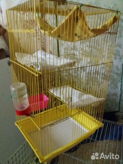 Клетки разные