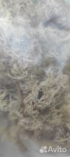 Грунт для орхидей