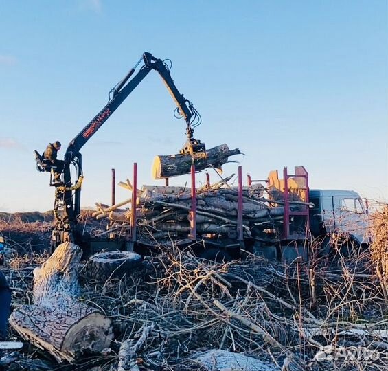 Вывоз строительного мусора