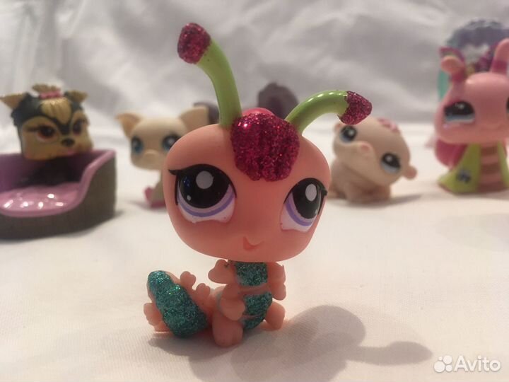 Игрушки Littlest Pet Shop