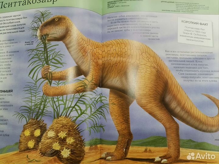 Динозавры полная энциклопедия