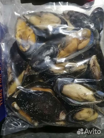 Гребешки, Мидии