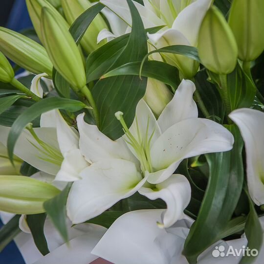 Лилии букет