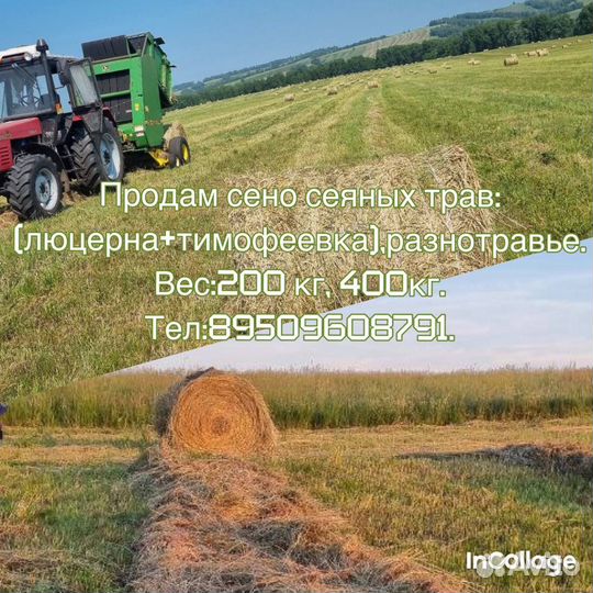 Сено в рулонах