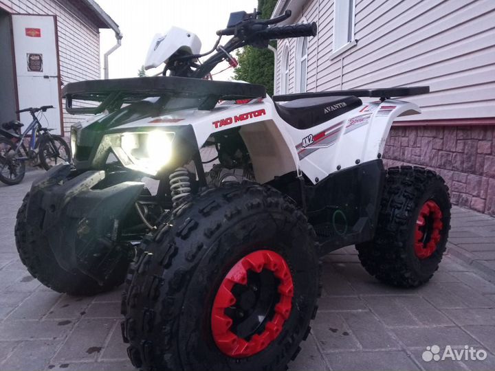 Авантис хантер