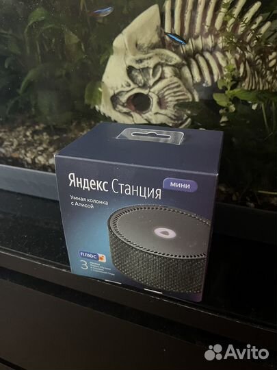 Умная колонка алиса без часов