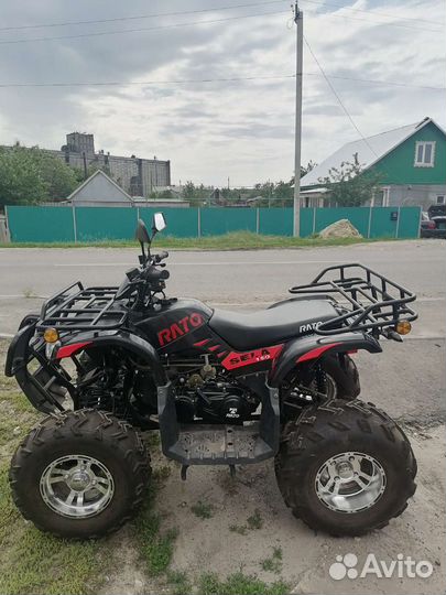 Квадроцикл rato