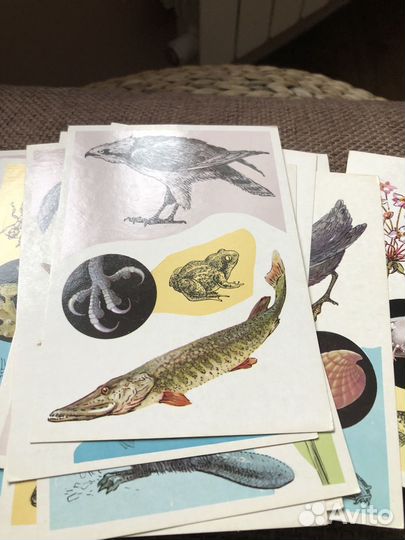 Открытки СССР 1978 год