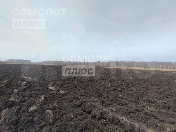 Участок 15,6 га (промназначения)