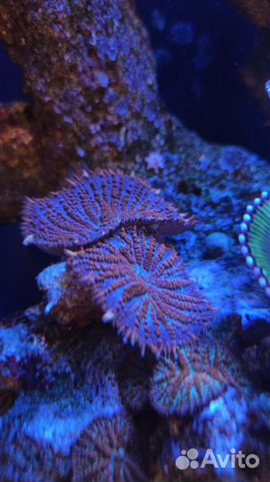 Уход за аквариумом