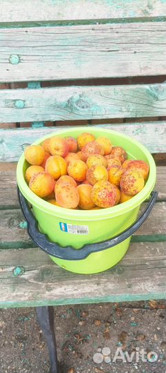 Абрикосы свежие