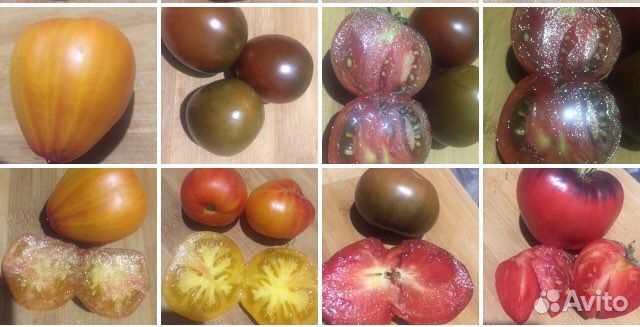 Помидорвкуснятина Семена