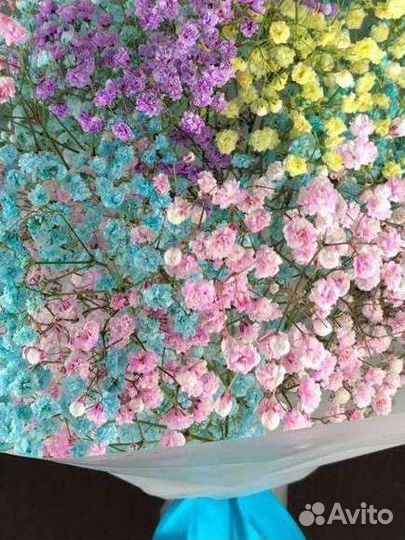 Гипсофила, букет из гипсофил