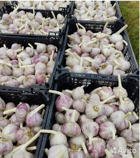 Готовый бизнес с высокой доходностью