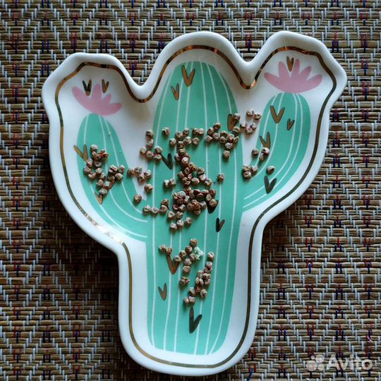 Семена опунции