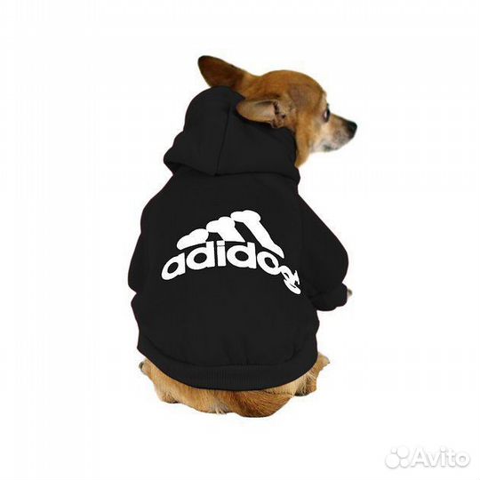 Одежда для собак