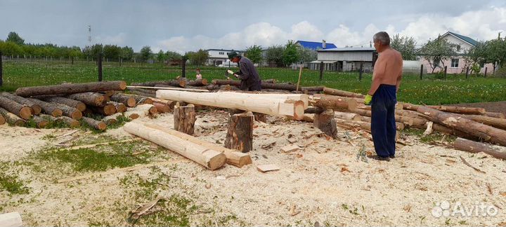 Срубы для бани (33). Липа, сосна